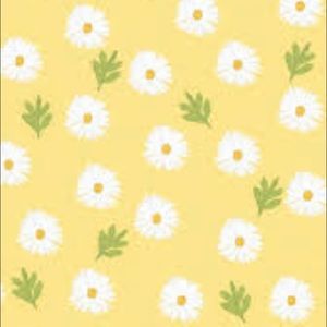 Meet your Posher, Regan